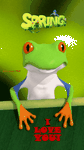 pic for funny frog